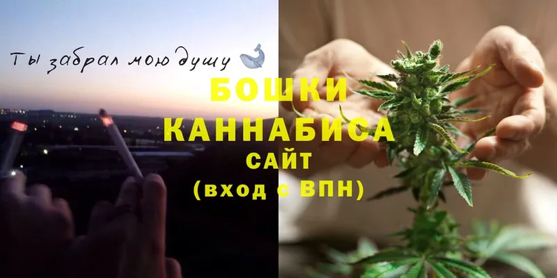 как найти закладки  Котовск  Бошки марихуана Ganja 